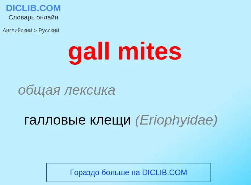 Как переводится gall mites на Русский язык