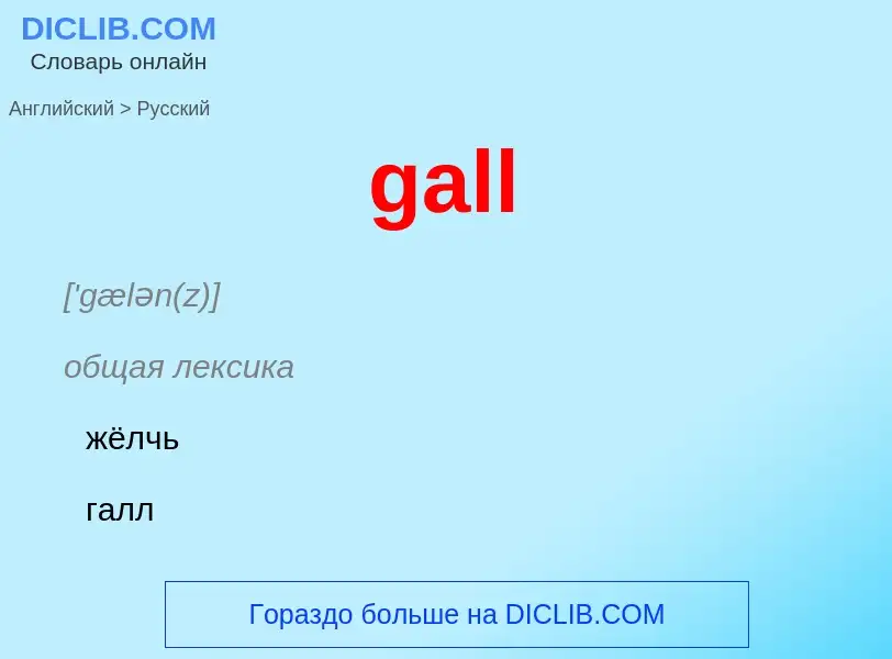 Как переводится gall на Русский язык