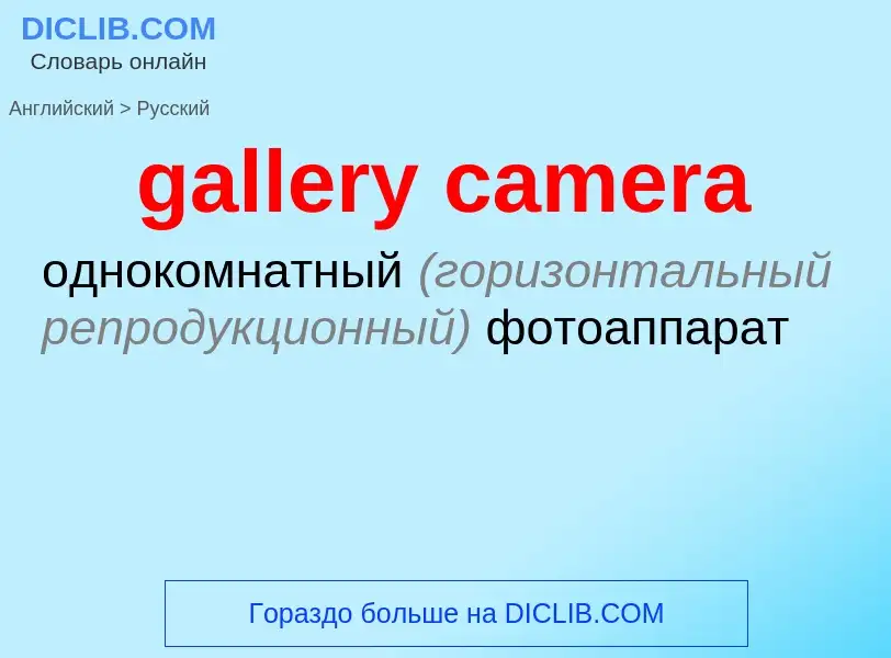 Как переводится gallery camera на Русский язык