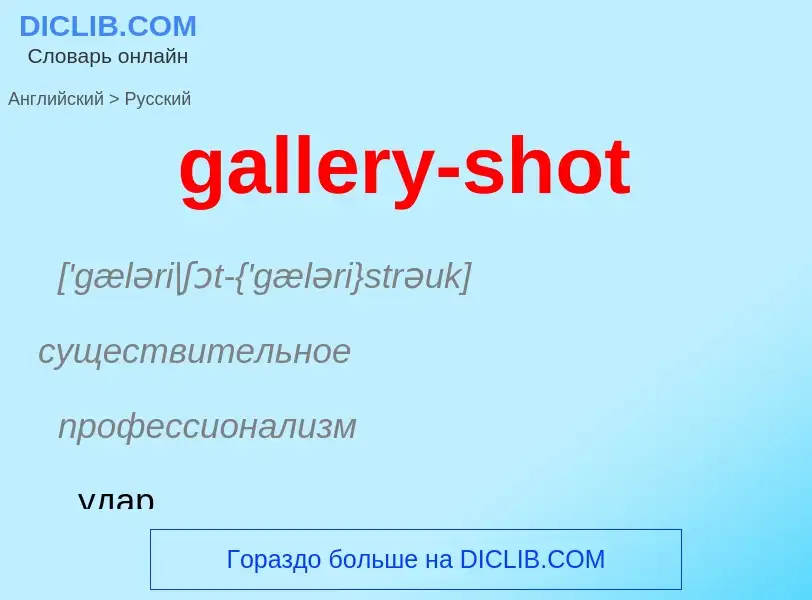 Как переводится gallery-shot на Русский язык