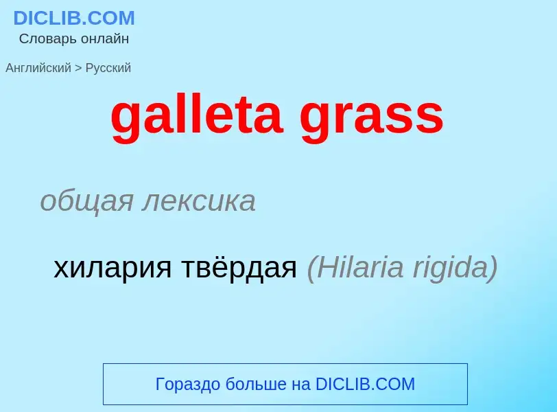 Как переводится galleta grass на Русский язык