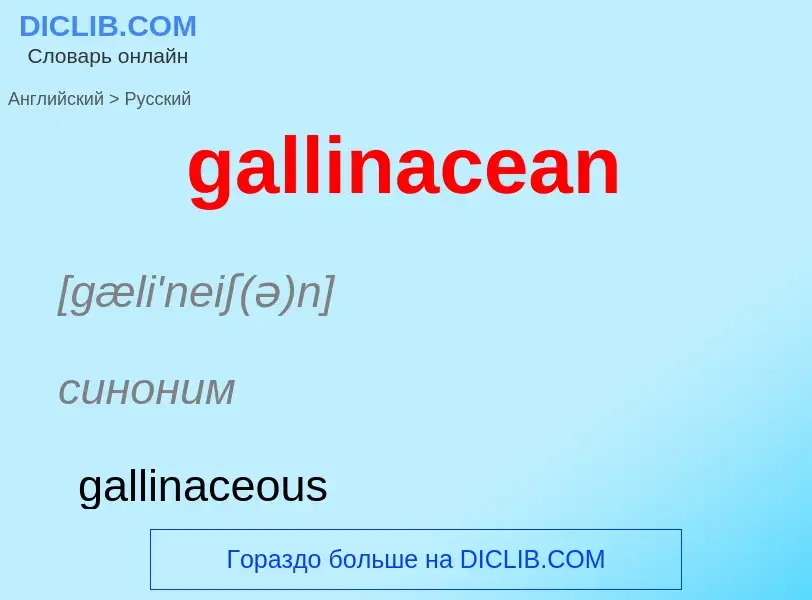 Как переводится gallinacean на Русский язык