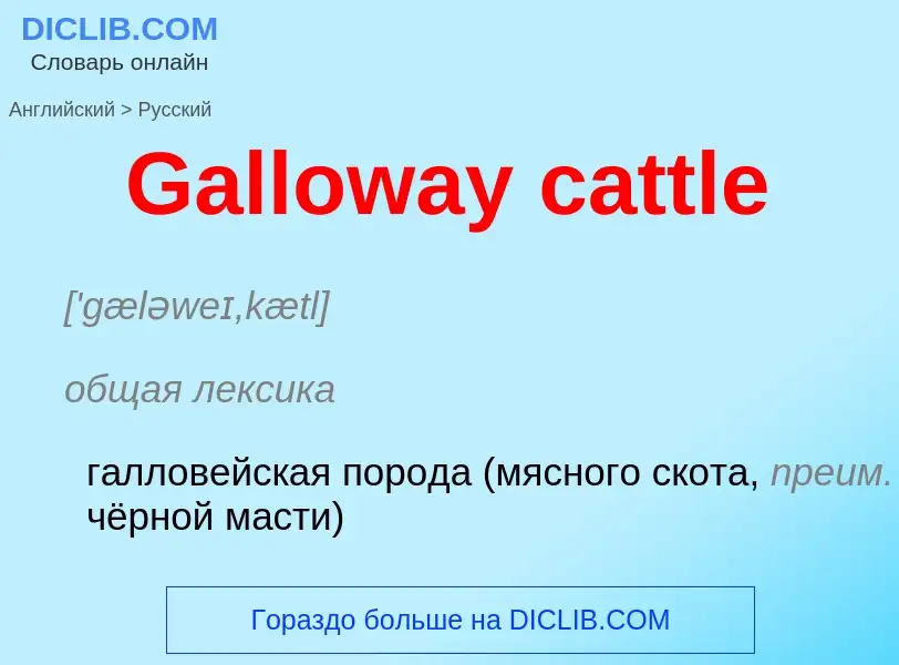 Übersetzung von &#39Galloway cattle&#39 in Russisch