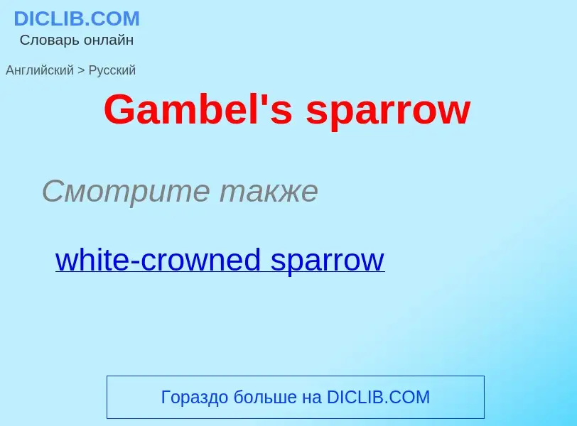 Μετάφραση του &#39Gambel's sparrow&#39 σε Ρωσικά