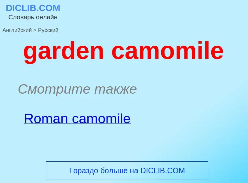 Vertaling van &#39garden camomile&#39 naar Russisch