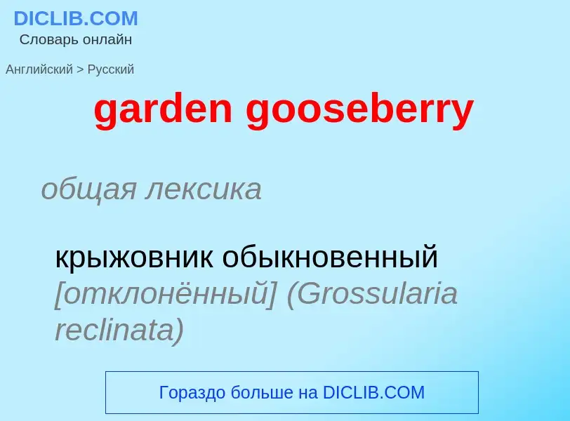 Como se diz garden gooseberry em Russo? Tradução de &#39garden gooseberry&#39 em Russo