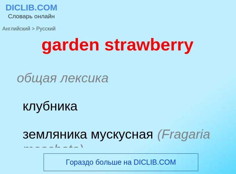 Как переводится garden strawberry на Русский язык