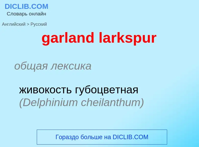 Vertaling van &#39garland larkspur&#39 naar Russisch