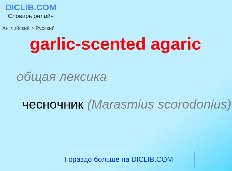 Traduction de &#39garlic-scented agaric&#39 en Russe