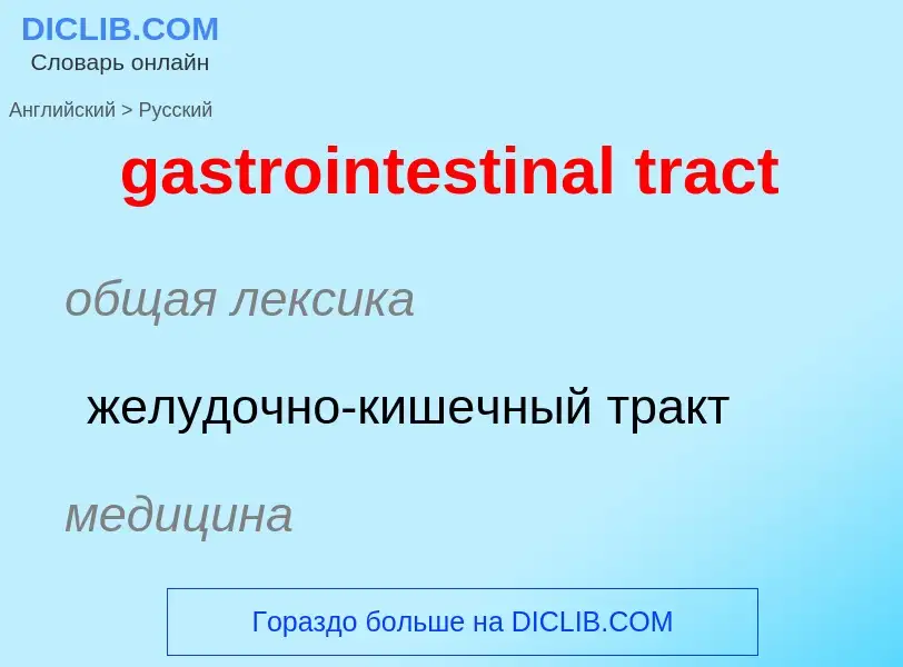 Как переводится gastrointestinal tract на Русский язык