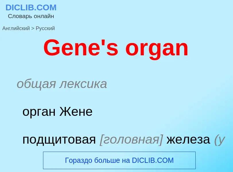 Как переводится Gene's organ на Русский язык