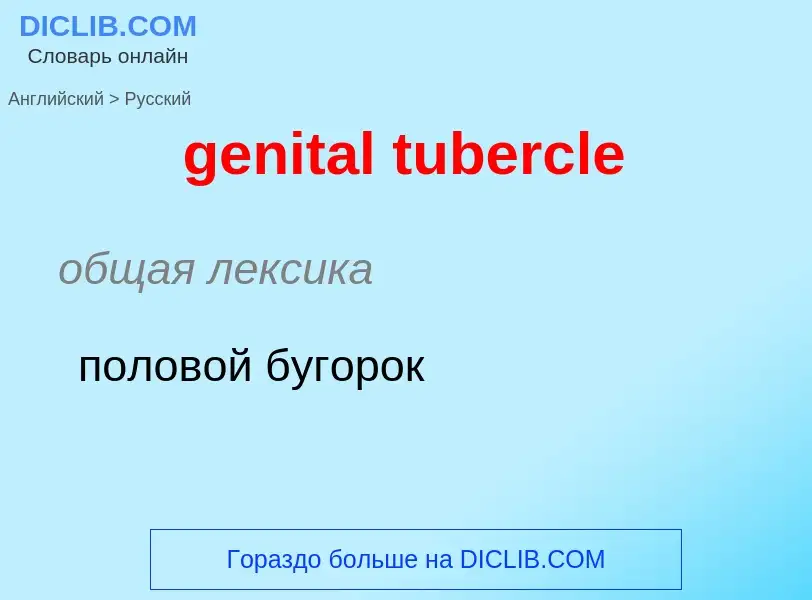 Como se diz genital tubercle em Russo? Tradução de &#39genital tubercle&#39 em Russo