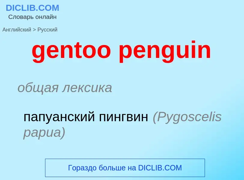 Как переводится gentoo penguin на Русский язык