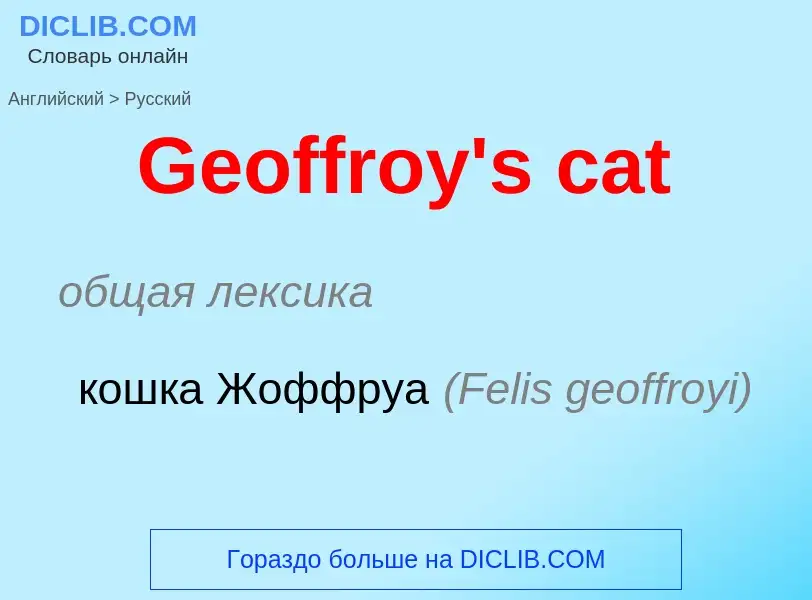 Vertaling van &#39Geoffroy's cat&#39 naar Russisch