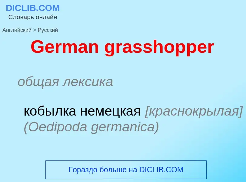 Μετάφραση του &#39German grasshopper&#39 σε Ρωσικά