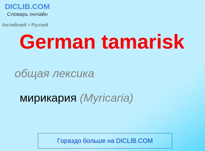 Μετάφραση του &#39German tamarisk&#39 σε Ρωσικά