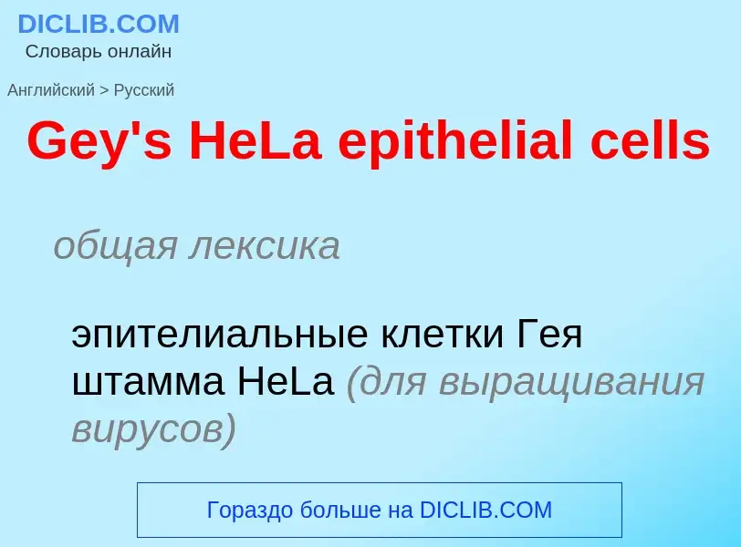 Как переводится Gey's HeLa epithelial cells на Русский язык