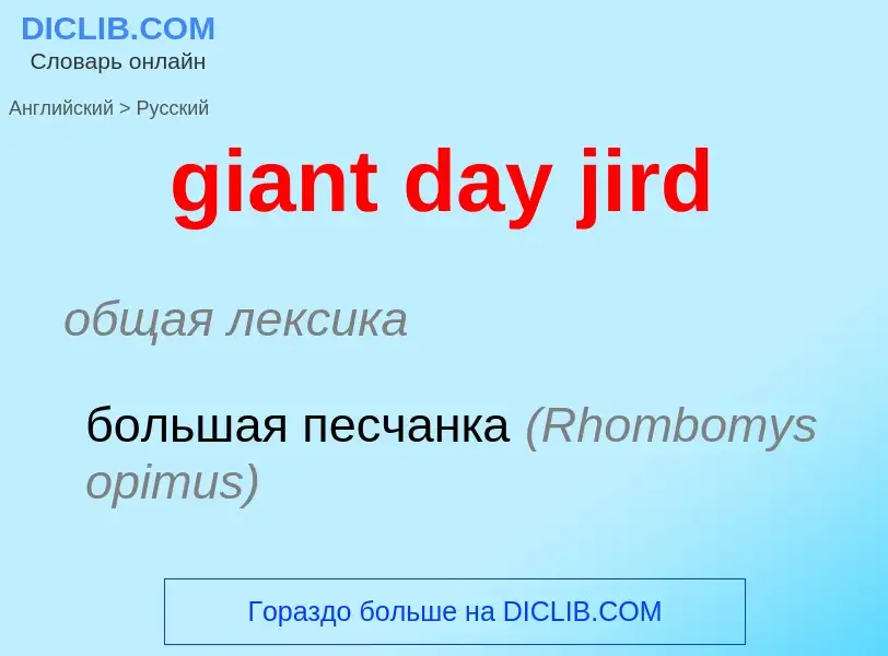 ¿Cómo se dice giant day jird en Ruso? Traducción de &#39giant day jird&#39 al Ruso