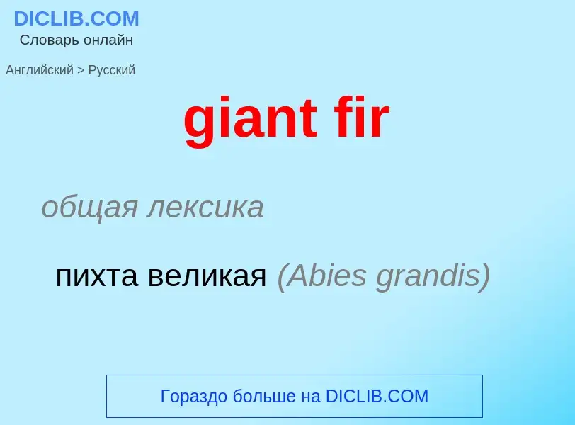 Μετάφραση του &#39giant fir&#39 σε Ρωσικά