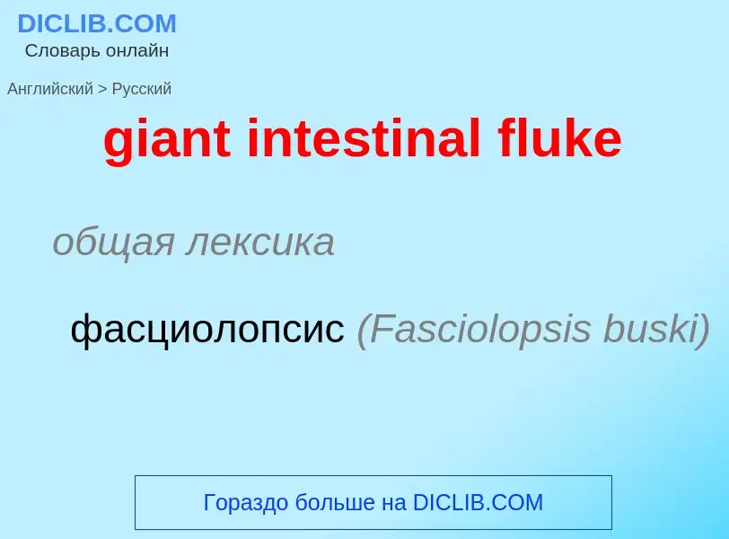 Traduzione di &#39giant intestinal fluke&#39 in Russo