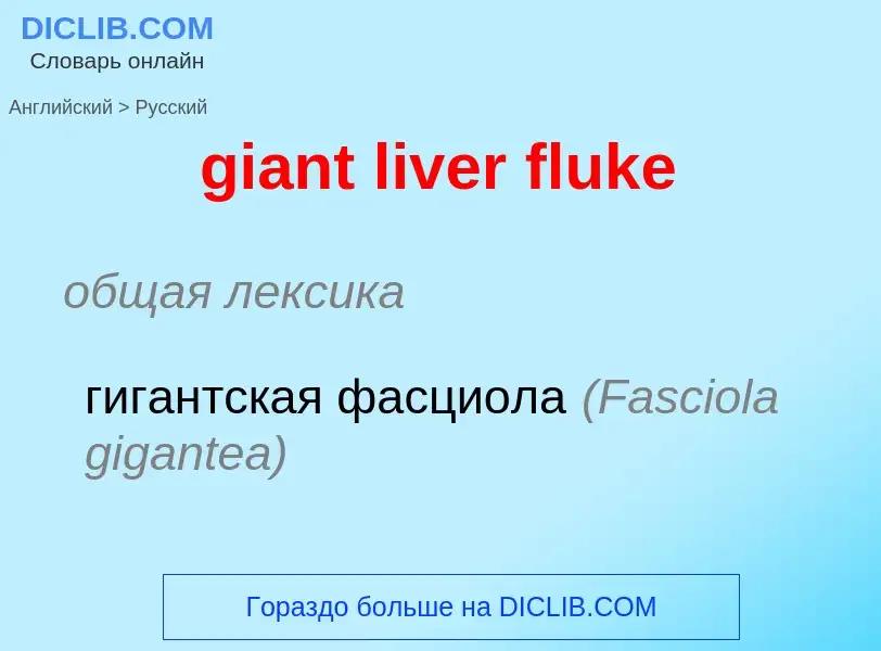 Traduzione di &#39giant liver fluke&#39 in Russo