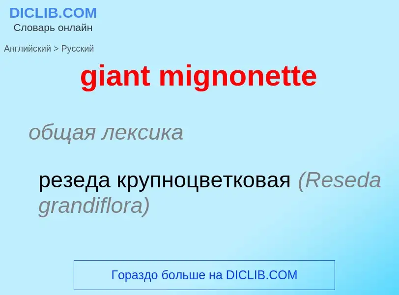 Vertaling van &#39giant mignonette&#39 naar Russisch