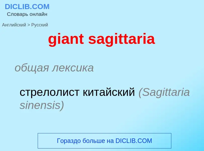 ¿Cómo se dice giant sagittaria en Ruso? Traducción de &#39giant sagittaria&#39 al Ruso