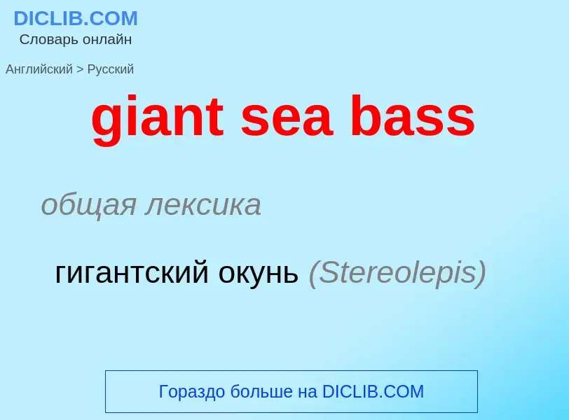 Как переводится giant sea bass на Русский язык