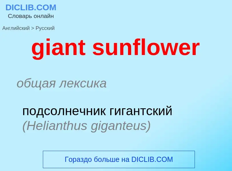 Μετάφραση του &#39giant sunflower&#39 σε Ρωσικά