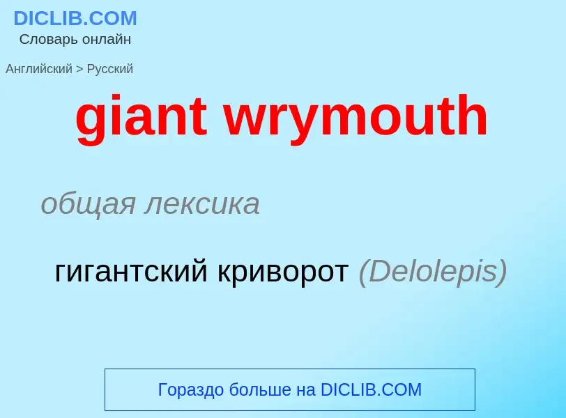 Как переводится giant wrymouth на Русский язык