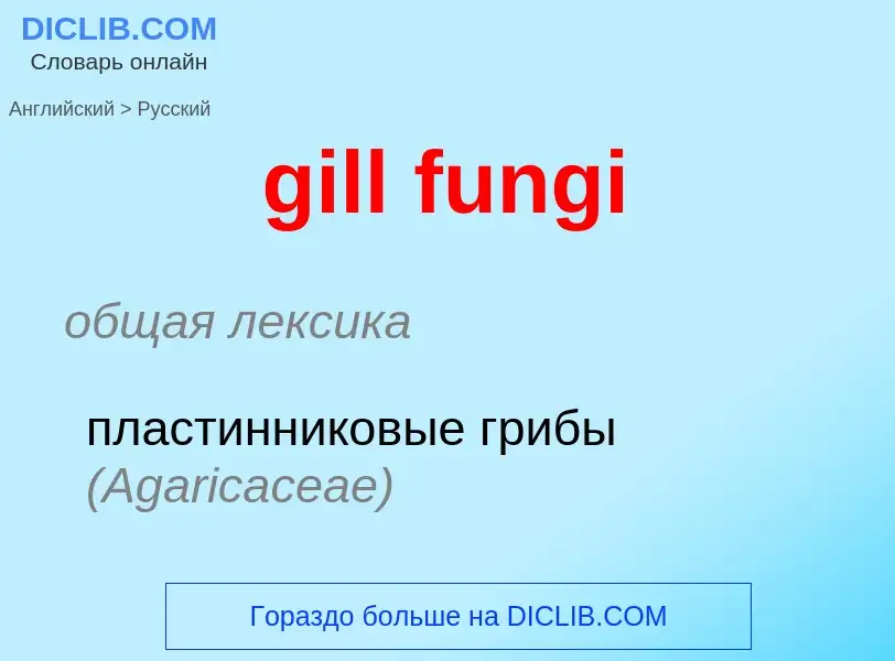 Traduction de &#39gill fungi&#39 en Russe