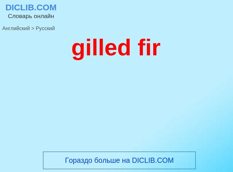 Μετάφραση του &#39gilled fir&#39 σε Ρωσικά