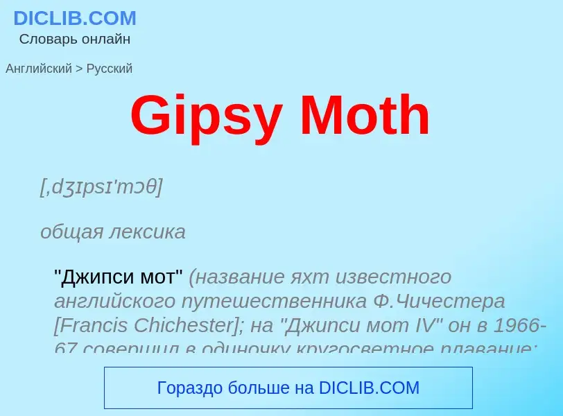 Как переводится Gipsy Moth на Русский язык