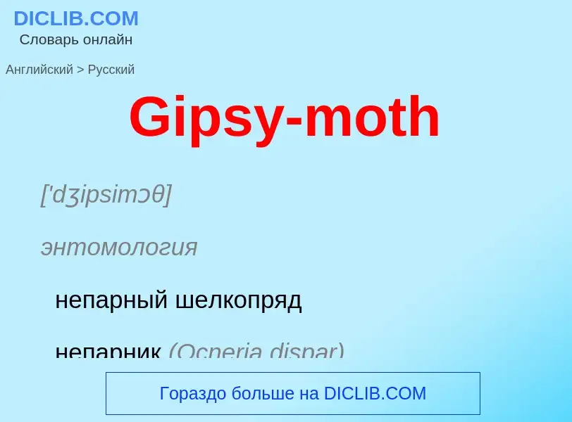 Как переводится Gipsy-moth на Русский язык