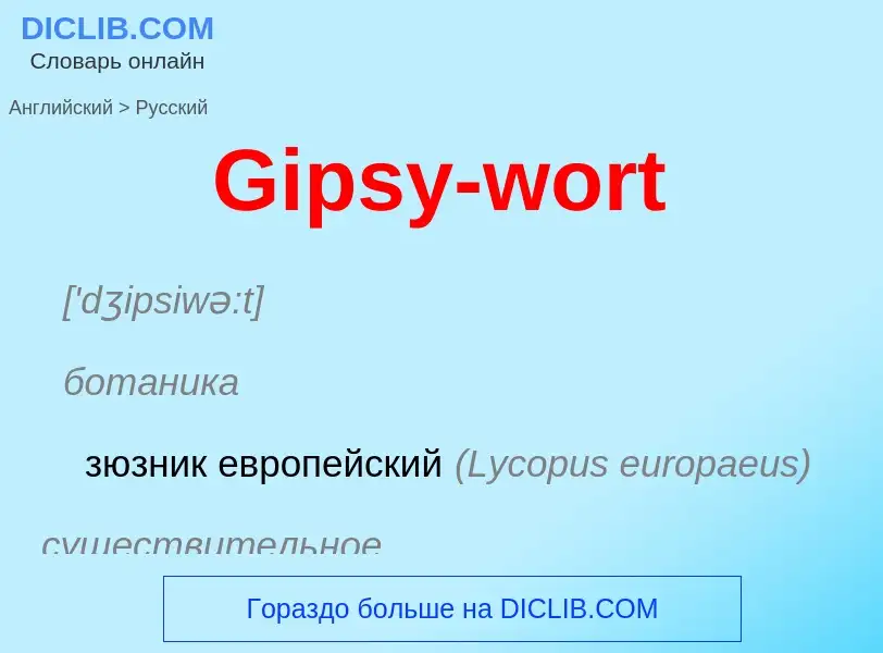 Как переводится Gipsy-wort на Русский язык