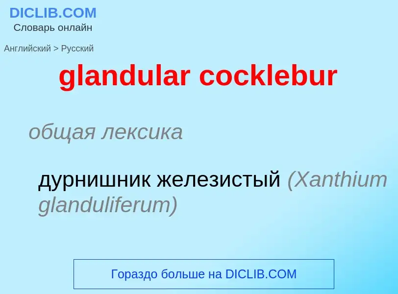 Как переводится glandular cocklebur на Русский язык