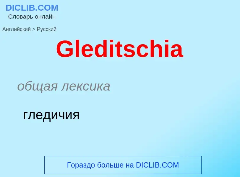 Как переводится Gleditschia на Русский язык