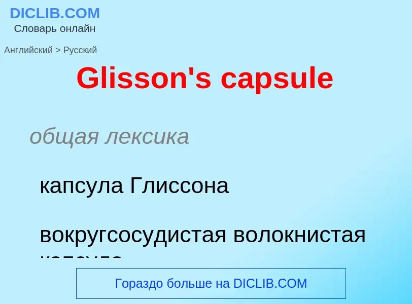 Как переводится Glisson's capsule на Русский язык