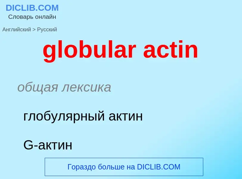 Μετάφραση του &#39globular actin&#39 σε Ρωσικά