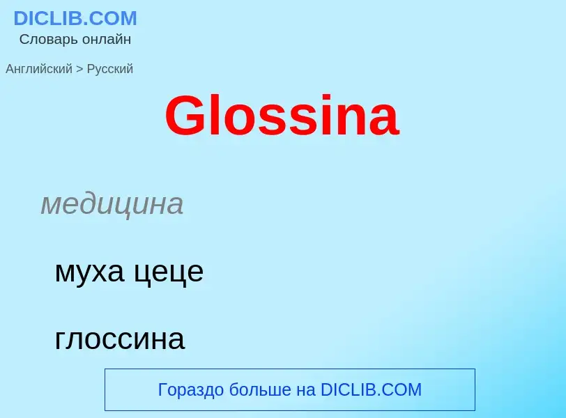 Как переводится Glossina на Русский язык