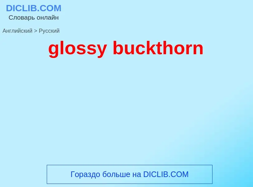 ¿Cómo se dice glossy buckthorn en Ruso? Traducción de &#39glossy buckthorn&#39 al Ruso