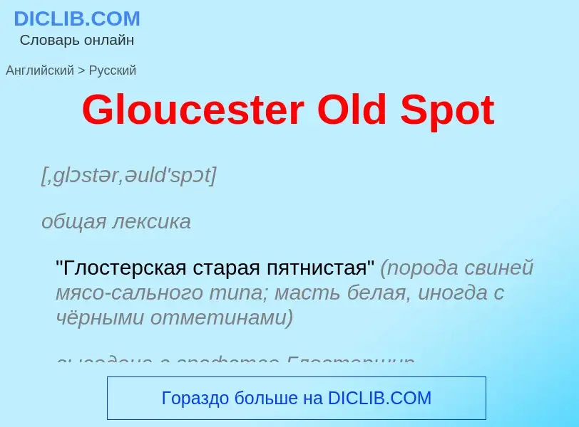 Как переводится Gloucester Old Spot на Русский язык