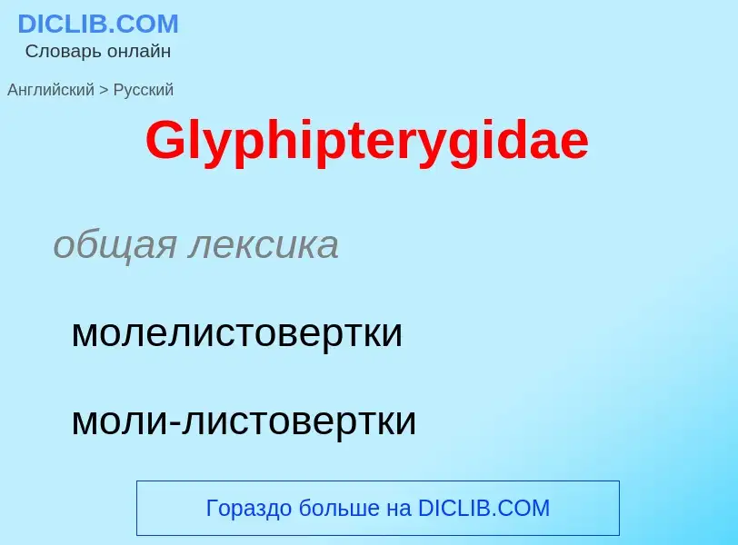 Как переводится Glyphipterygidae на Русский язык