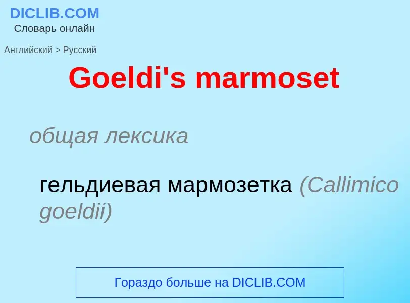 Как переводится Goeldi's marmoset на Русский язык