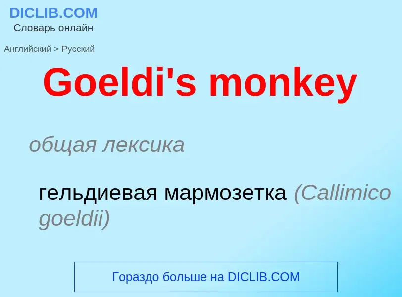 Как переводится Goeldi's monkey на Русский язык