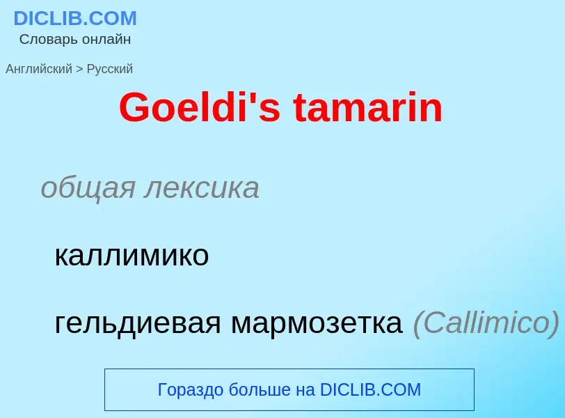 Как переводится Goeldi's tamarin на Русский язык