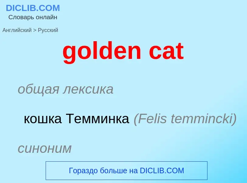 What is the الروسية for golden cat? Translation of &#39golden cat&#39 to الروسية