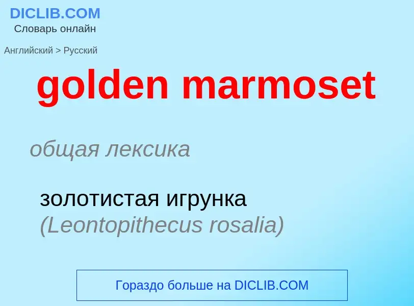 Как переводится golden marmoset на Русский язык