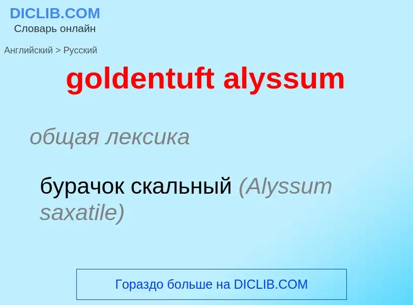 Como se diz goldentuft alyssum em Russo? Tradução de &#39goldentuft alyssum&#39 em Russo