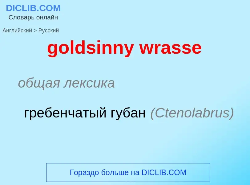 What is the الروسية for goldsinny wrasse? Translation of &#39goldsinny wrasse&#39 to الروسية